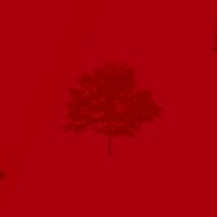 Red Three Tree Wall