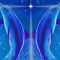 Celestial Dolphins