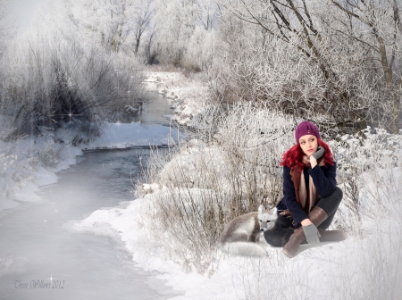 Winter Daydreams - lady, fantasy, winter, snow, fox