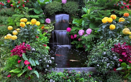 dream garden