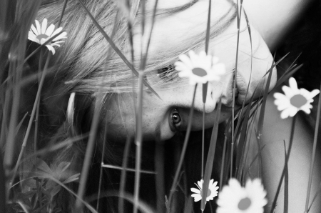 black ♥ white - black, white, nature, photography, girl, daisy, beauty, grass