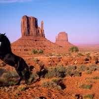 Graceful Power Monument Valley Utah