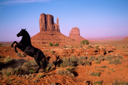 Graceful Power Monument Valley Utah