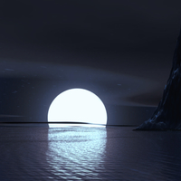 Quiet Night
