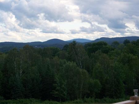 Mountain of trees - trees, mountain sky