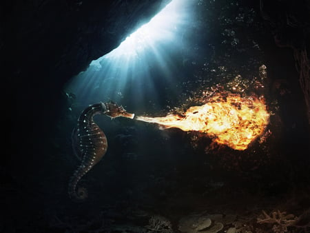 Fire seahorses - horses, water, fire, sea