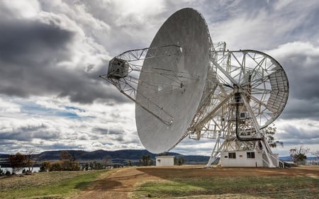 All we hear is Radio Ga Ga - radio telescope, astronomy, radio astronomy, new zeeland, field