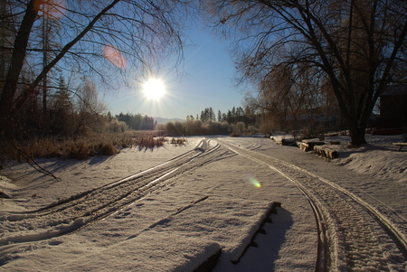 A Cold Days Evening - ice, tree, snow, sun