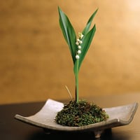 Perfect Ikebana 