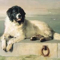 Sir Edwin Landseer's painting of a Landseer Newfoundland