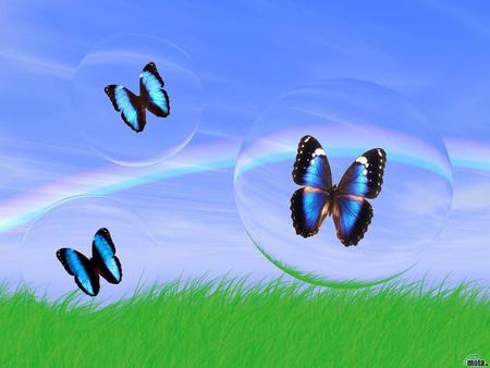 BUBBLY BUTTERFLY - bubbles, butterfly