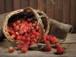 Strawberries