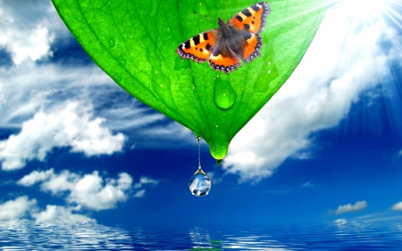 BUTTERFLY - nature, waterdrop, green, butterfly, leaf, sky