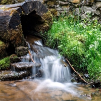 Waterfall from Log