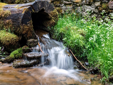 Waterfall from Log - log, nature, waterfall, rocks