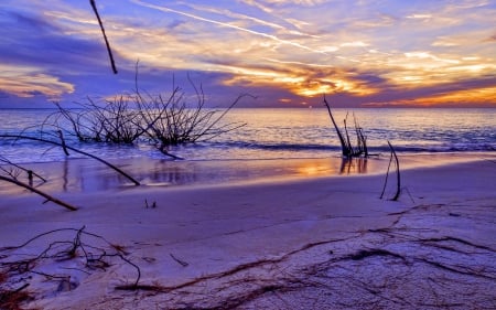 SUNSET - beach, sunset, landscape, sea