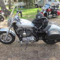 Silver Harley Davidson at the park