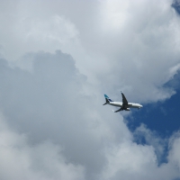 Airplane over the park