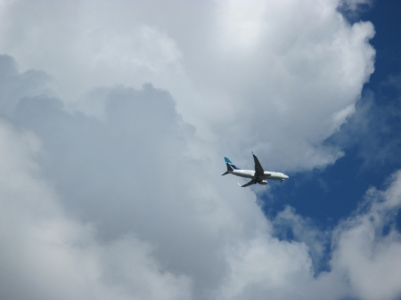 Airplane over the park - white, sky, photography, blue, clouds, airplane