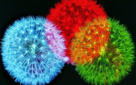 feather fireworks - colorful, works, feathers, fire