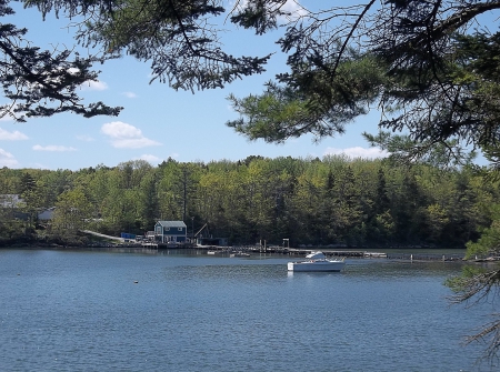 Boothbay, Maine - nature, sky, trees, water, boat