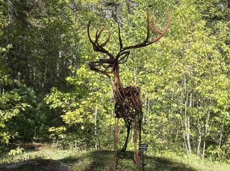 Deer statue - nature, deer, trees, statue