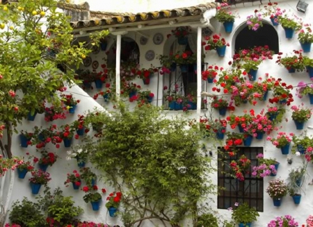 flowers around a house - architecture, patios, houses, flowers