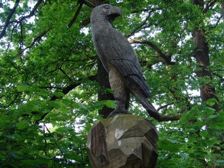 Eagle - wood, nature, eagle, animal, kunst