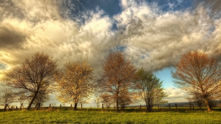 beautiful sky above trees in autumn hdr - clouds, field, trees, hdr, autumn