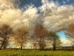 beautiful sky above trees in autumn hdr