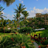 beautiful hawaiian hotel