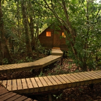 log cabins hotel in the forest