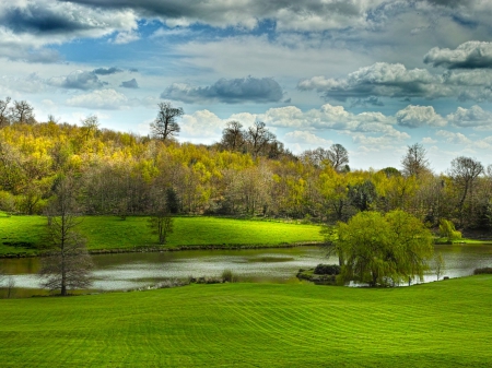 fields and river - fields, tree, grass, river