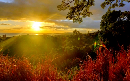 ARRIVAL of A new DAY! - sunshine, sky, forest, clouds, mountains, sunrise