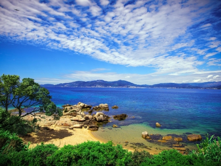 blue sea - beach, tree, sea, blue