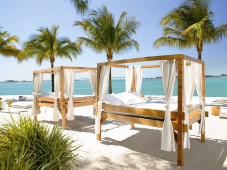 palm beach bed - sand, beach, tree, palm