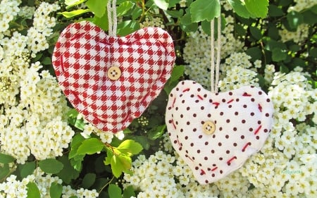 ♥ Summer Hearts ♥ - stuffed hearts, decoration, summer, blossom, lovely, photo, buttons, still life, nature, garden, hearts