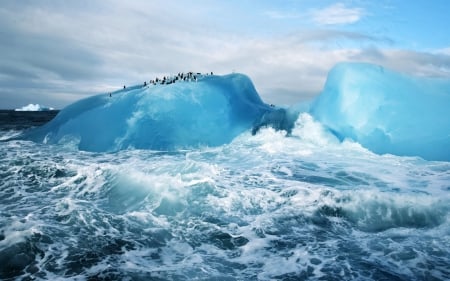 Penguin on blue ice - oceans, blu ice, penguin, penguin on blue ice