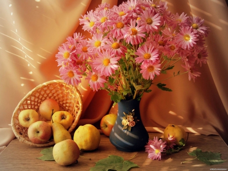 Still life - flowers, still life, photo, flower