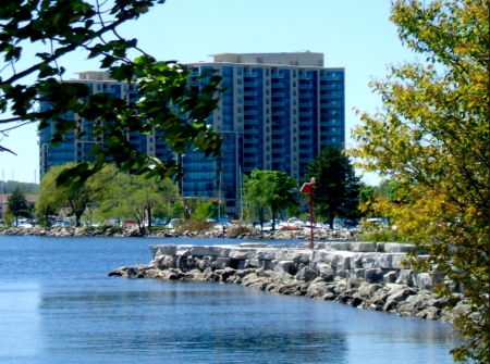 condo heaven - trees, Building, water, rocks