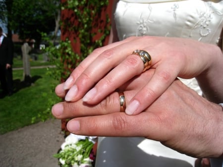 Wedding Rings - hands, wedding, rings, flowers, colors, dress