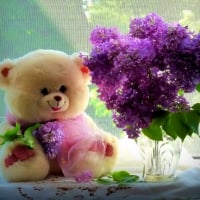 Teddy bear still life