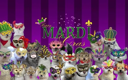 HAPPY MARDI GRAW - south, mardi, dog, happy