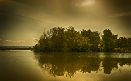 wonderful lake in monochrome - lake, trees, reflection, sunbeams