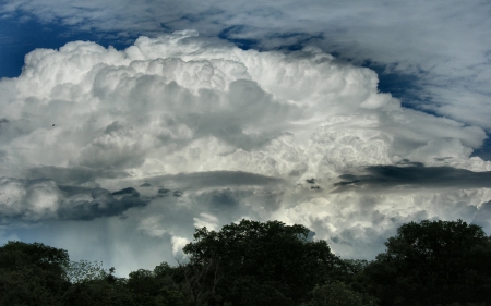 Large Puffy Clouds - clouds, trees, white, nature, blue, green, puffy, sky