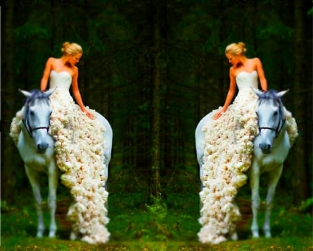 white horsie - nature, beautiful, vestido de novia, caballo, lindo, hermoso, wedding dress, horse