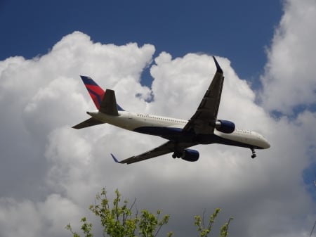 Above the Treetop - plane, aircraft, coulds, jet, cloud, sky