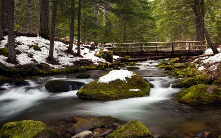 Cold Spring Creek, California - trees, winter, water, snow, forest, architecture, river, white, nature, green, cold, bridge, rocks