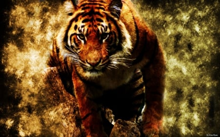 beautiful tiger - big, tiger, animals, cats