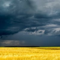 dark stormy skies over golden fields